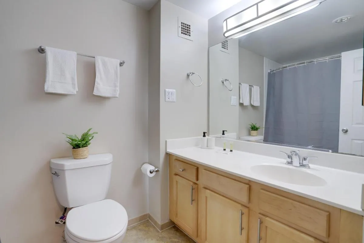 Image 2 of Amazing 1BR Apartment at Crystal City With Gym