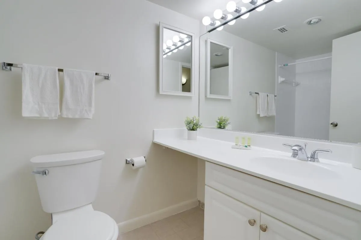 Image 2 of Elegant & charming Apartment in Crystal City