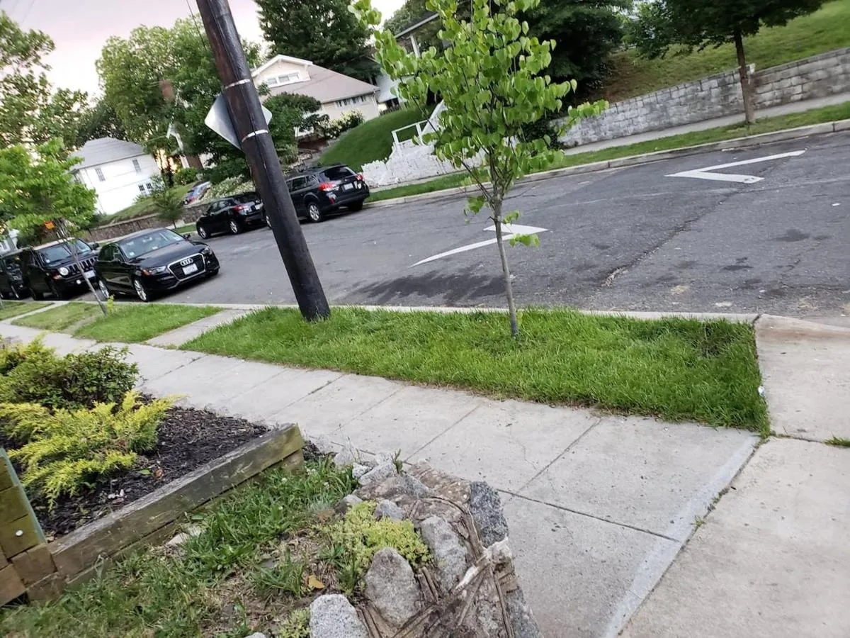 Image 5 of Luxury 2 bedroom apartment w/ free parking