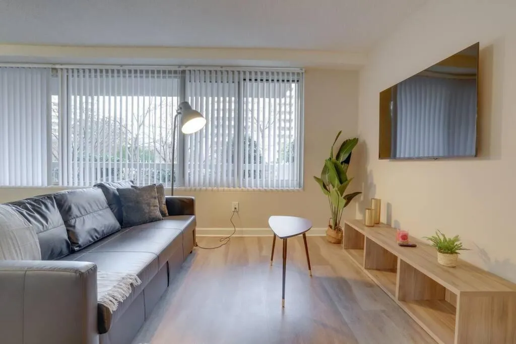 Image of Modern apartment at Crystal City