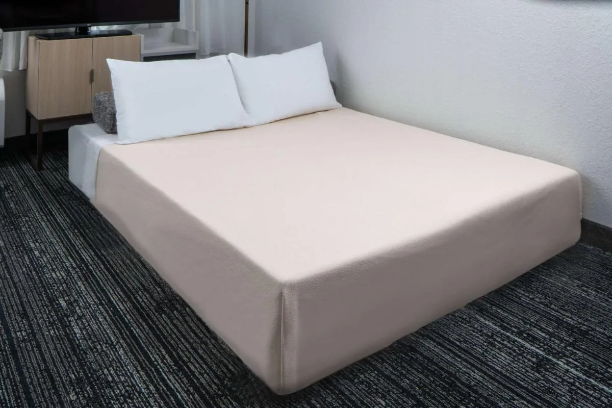 Image 5 of Sonesta Simply Suites Falls Church