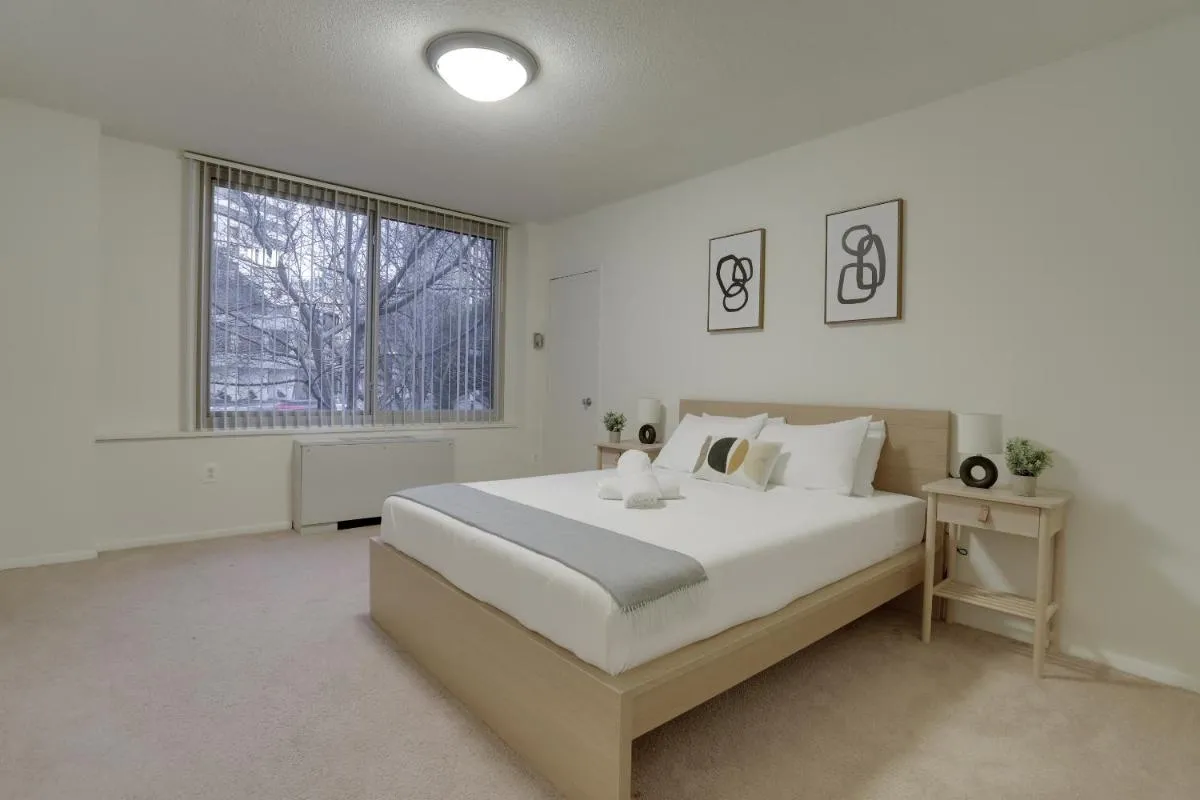 Image 1 of Stunning apartment at Crystal City